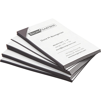 ZEUS Magnetic Business Card (BAU66200)