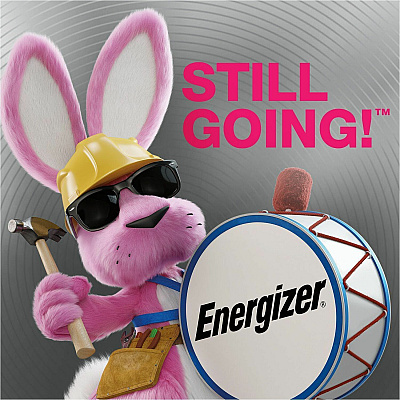 Energizer Industrial Alkaline AAA Batteries, 24 pack (EVEEN92)
