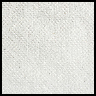 Pacific Blue Basic Paper Roll Towel (GPC28706)