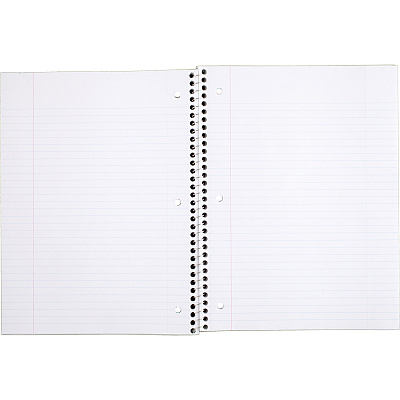 Mead One-subject Spiral Notebook (MEA05512)