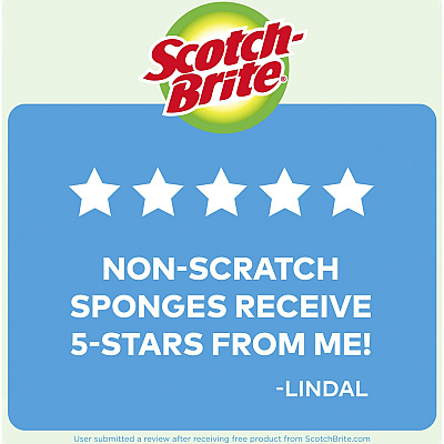 Scotch-Brite No Scratch Scrub Sponges (MMMMP3)