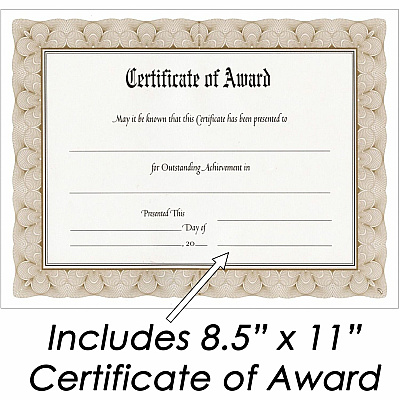NuDell NuDell Woodgrain Award-A-Plaque (NUD18813M)