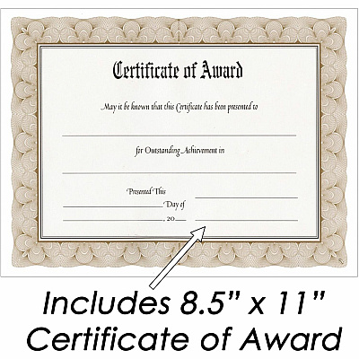 NuDell NuDell Woodgrain Award-A-Plaque (NUD18815M)