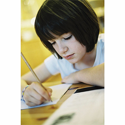 Pacon Multi-Program Handwriting Papers (PAC2420)