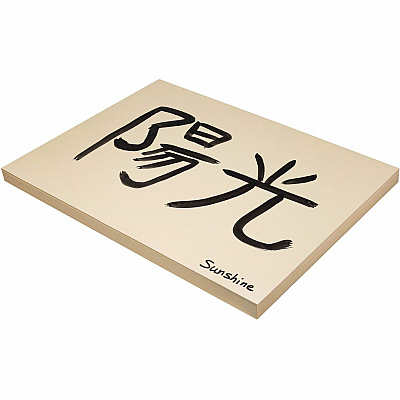 Pacon Tagboard (PAC5120)