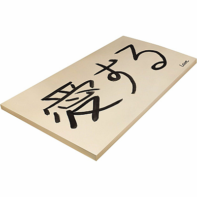 Pacon Tagboard (PAC5126)