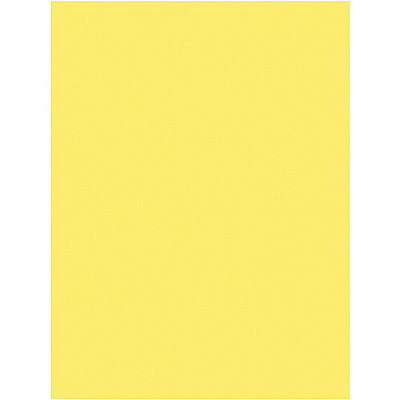 Prang Construction Paper (PAC8403)