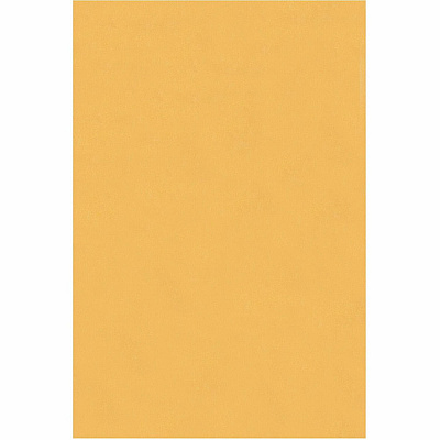 Quality Park 6 x 9 Extra Heavy-duty Kraft Clasp Envelopes (QUA37755)