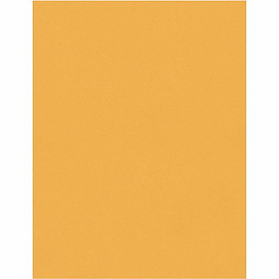 Quality Park 8-3/4 x 11-1/2 Extra Heavy-duty Clasp Envelopes (QUA37787)