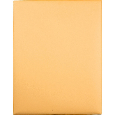 Quality Park 10 x 13 Extra Heavy-duty Clasp Envelopes (QUA37797)