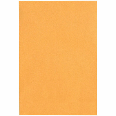 Quality Park 10 x 15 Heavy-Duty Clasp Envelope (QUA37798)