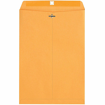Quality Park 10 x 15 Heavy-Duty Clasp Envelope (QUA37798)