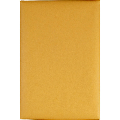 Quality Park 6 x 9 Clasp Envelopes with Deeply Gummed Flaps (QUA37855)