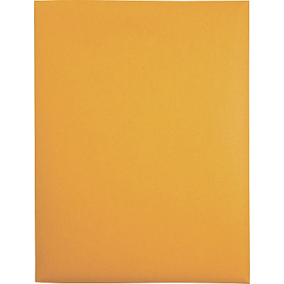 Quality Park 9 x 12 Clasp Envelopes with Deeply Gummed Flaps (QUA37890)
