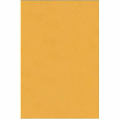 Quality Park 10 x 15 Clasp Envelopes with Deeply Gummed Flaps (QUA37898)