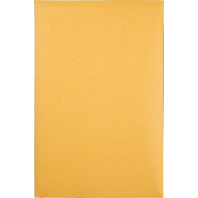 Quality Park 6 x 9 Catalog Mailing Envelopes (QUA40767)