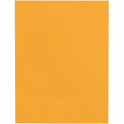 Quality Park 9 x 12 Heavyweight Catalog Mailing Envelopes (QUA41467)