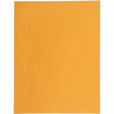 Quality Park 12 x 15-1/2 Catalog Envelopes (QUA41967)