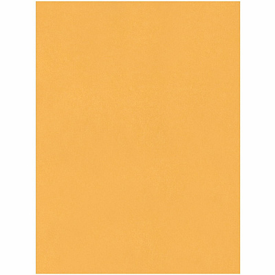 Quality Park 15 x 20 Jumbo Catalog Envelopes - Ungummed (QUA42355)