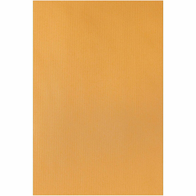Quality Park 6 x 9 Park Ridge Clasp Envelopes with Deeply Gummed Flaps (QUA43055)