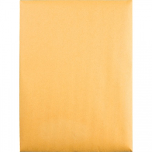 Quality Park Park Ridge Kraft Clasp Envelopes (43090)