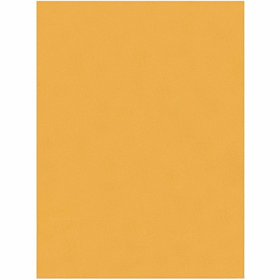 Quality Park 9 x 12 Park Ridge Clasp Envelopes with Deeply Gummed Flaps (QUA43090)