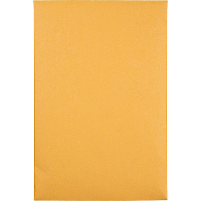 Quality Park 6 x 9 Catalog Mailing Envelopes with Redi-Seal Self-Seal Closure (QUA43167)
