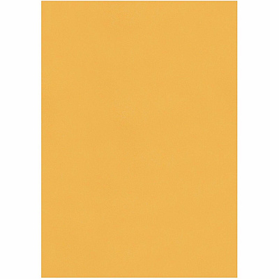 Quality Park 7-1/2 x 10-1/2 Catalog Envelopes with Self-Seal Closure (QUA43462)