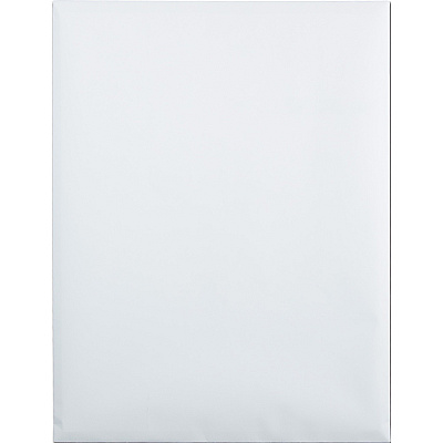 Quality Park 9 x 12 Catalog Mailing Envelopes with Redi-Seal Self-Seal Closure (QUA43517)