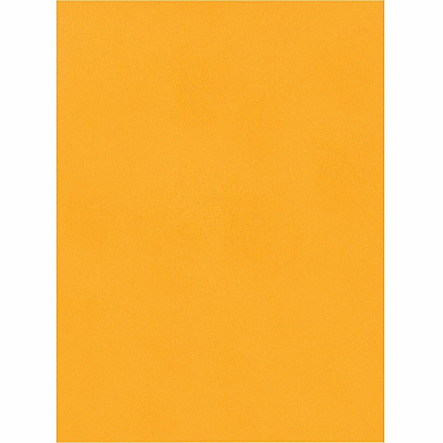 Quality Park 9 x 12 Catalog Mailing Envelopes with Redi-Seal Self-Seal Closure (QUA43562)