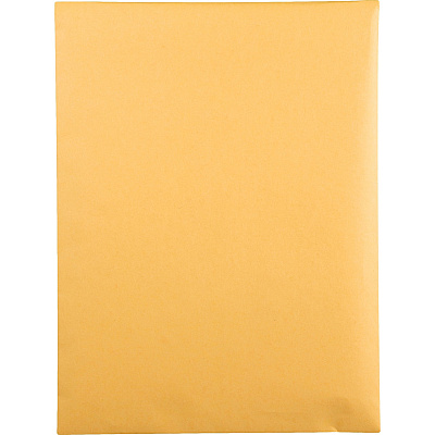Quality Park 9 x 12 Catalog Envelopes with Self-Seal Closure (QUA43567)