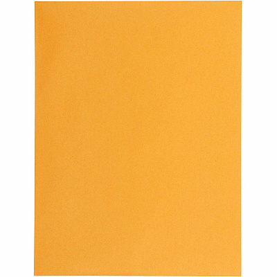 Quality Park 9-1/2 x 12-1/2 Catalog Envelopes with Self-Seal Closure (QUA43662)