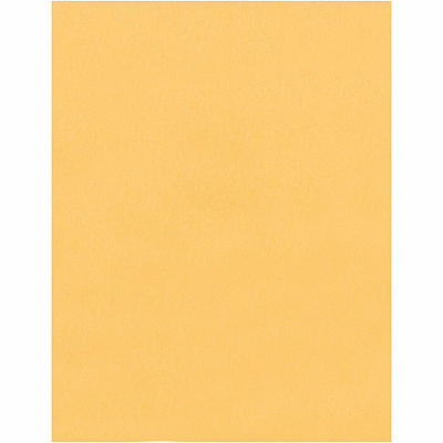 Quality Park 12 x 15-1/2 Catalog Envelopes with Self-Seal Closure (QUA44067)