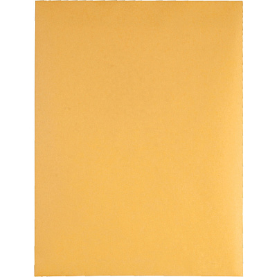 Quality Park 9 x 12 Catalog Envelopes with Redi-Strip Closure (QUA44562)