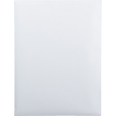 Quality Park 9-1/2 x 12-1/2 Catalog Mailing Envelopes with Redi-Strip Self-Seal Closure (QUA44682)