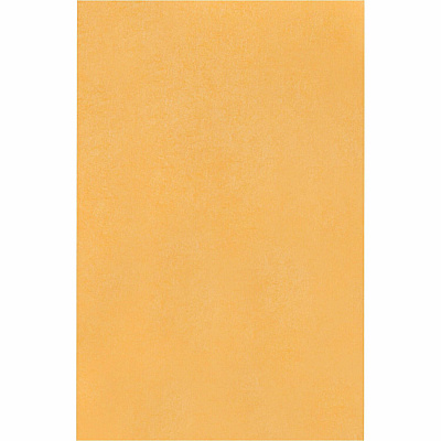 Quality Park No. 1 Coin and Small Parts Envelopes with Gummed Seal (QUA50160)