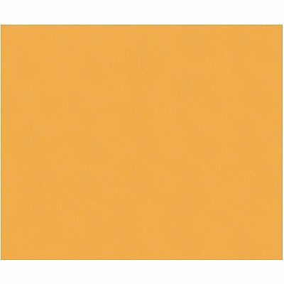 Quality Park 10 x 12 Extra Heavyweight Document Mailers (QUA54300)