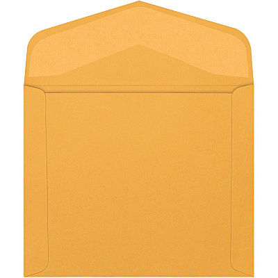 Quality Park 10 x 12 Extra Heavyweight Document Mailers (QUA54300)