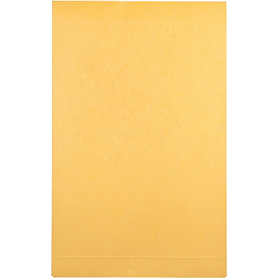 Quality Park 9 x 12 x 2 Expansion Envelopes with Self-Seal Closure (QUA93334)