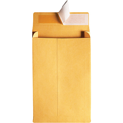 Quality Park 9 x 12 x 2 Expansion Envelopes with Self-Seal Closure (QUA93334)