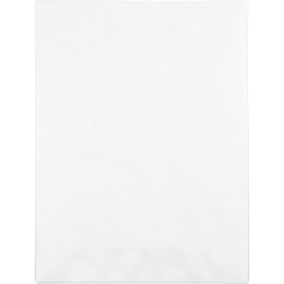 Survivor 9 x 12 DuPont Tyvek Catalog Mailers with Self-Sealing Closure (QUAR1460)