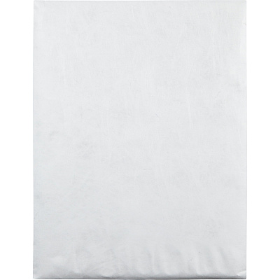 Survivor 9-1/2 x 12 1/2 DuPont Tyvek Catalog Mailers with Self-Seal Closure (QUAR1520)