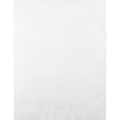 Survivor 10 x 13 DuPont Tyvek Catalog Mailer with Self-Sealing Closure (QUAR1580)
