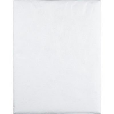 Survivor 12 x 15-1/2 DuPont Tyvek Catalog Mailers (QUAR1790)