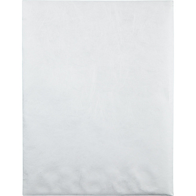 Survivor 10 x 13 DuPont Tyvek Tamper Indicating Panel Catalog Mailers (QUAR2420)