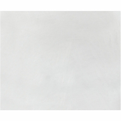 Survivor 10 x 15 x 2 DuPont Tyvek Expansion Mailers with Self-Seal Closure (QUAR4450)