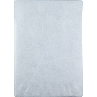 Survivor 13 x 19 DuPont Tyvek Catalog Mailers with Self-Seal Closure (QUAR5101)