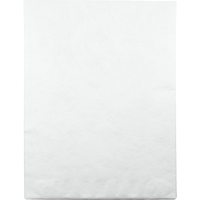 Survivor 14-1/4 x 20 DuPont Tyvek Catalog Mailers with Self-Seal Closure (QUAR5106)