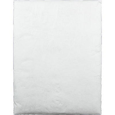 Quality Park Survivor Plus Tyvek Bubble Mailers (QUAR7545)