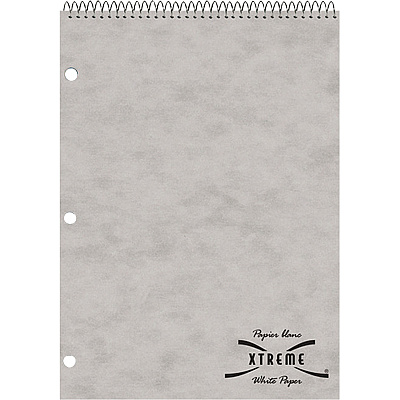 Rediform Porta-Desk 1-Subject Notebooks (RED31186)